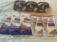 Item thumbnail for item 8aa1d2d5-416c-40ff-beb1-0264bd25d64b