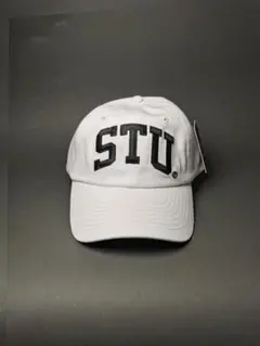 パ*る様 STUSSY ベースボールキャップ ホワイト/グリーン