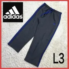 adidas グレー/ブルー サイドストライプ パンツ L3