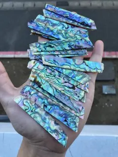 2026年最新】アワビ貝殻の人気アイテム - メルカリ