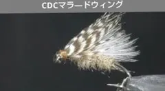 Item thumbnail for item 41e4627b-d603-4ccc-b8f6-7bf89f6b2890