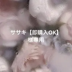 ササキ【即購入OK】様専用ページ