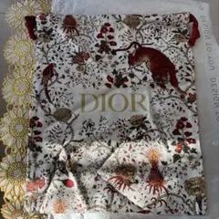 新品未使用　DIOR 巾着袋　限定版 2022年　ノベルティ