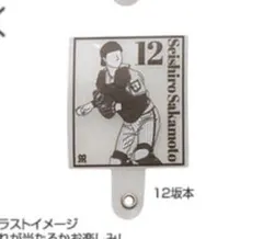 Item thumbnail for item 192c2dfa-f50a-4853-b3cb-44ce8489a9fc