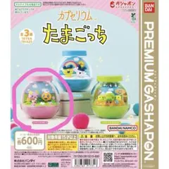 たまごっち カプセリウム ふらわっち&めめっち