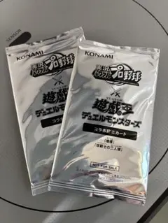 あおたん@即購入可様 リクエスト 2点 まとめ商品