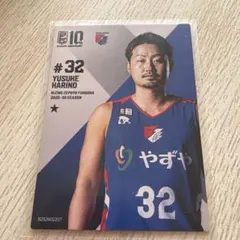 Bリーグ シーホース三河 2022 シェーファーアヴィ幸樹 金箔サイン