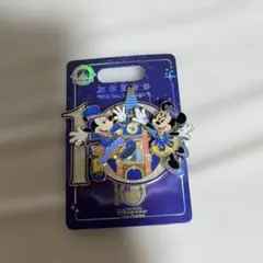 Disney WDWキャスト限定 TDLシンデレラ城 ピンバッジ - メルカリ