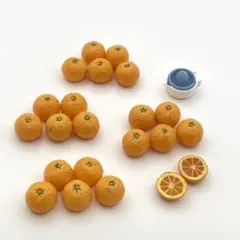 リーメント ミニチュア いよかん みかん