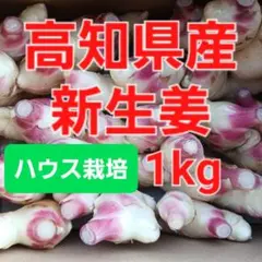 農家直送　高知県産新生姜1kgのサムネイル