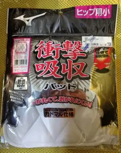 Item thumbnail for item b7766047-2073-4a15-839d-bdcf0abf90fd