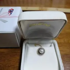 Item thumbnail for item eb71a125-c592-429f-a4e4-59af6388a162