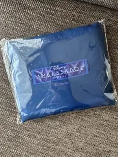 アンバサダーホテル ポーチ