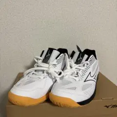 ミズノ バレーボールシューズ 23cm レディース ジュニア