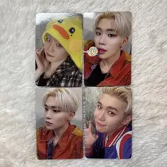 キムテレ トレカ