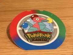 ポケモン ポケパーク カントー 限定 ピンバッジ ピンズ ライチュウ