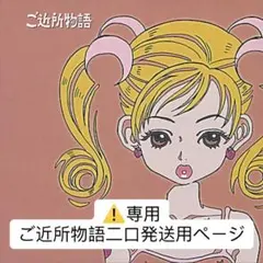 ⚠️専用 二口発送(ご近所物語)