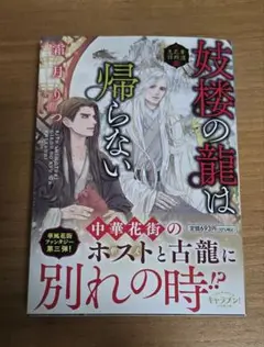 妓楼の龍は帰らない　華国花街鬼譚