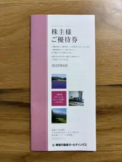 東急不動産ホールディングス 株主優待券 100株 2025年6月発行