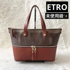 未使用級✨ETRO エトロ　ペイズリー柄　レザー　バイカラー　ハンドバッグのサムネイル