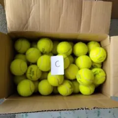 Item thumbnail for item 974d1f7e-ff7b-4543-b4b7-88d183cb7801