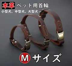 Item thumbnail for item a49eef8f-9841-4aba-9a99-0bc9402dbacb