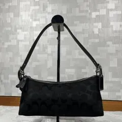 Coach コーチ アクセサリーポーチ ブラック 黒 シグネチャー ハンドバッグ