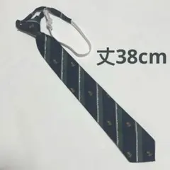 Item thumbnail for item 58c767f9-fc99-4429-bc54-0e8c3951de79