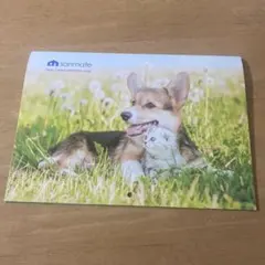 Item thumbnail for item f17980dc-ec56-4910-bfda-61a820da36a4