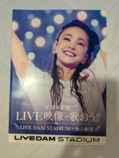【限定非売品・即日発送】安室奈美恵 クリアファイル Finally DAM