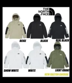 THE NORTH FACE DALTON ANORAK