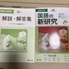国語の新研究・解説・解答集 セット