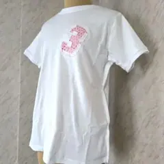 Item thumbnail for item bfba63fa-0cde-42bf-a93c-f24883da0fd9