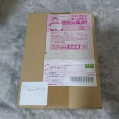 【シュリンク付き】ポケモンカード インフェルノX BOX【ポケセン産】