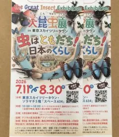 大昆虫展 2枚 東京スカイツリータウンのサムネイル