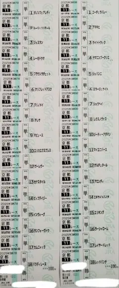 秋華賞　菊花賞　2025 馬券 勝ち馬以外