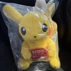 ポケモン 一番くじ ラストワン賞 ピカチュウ ぬいぐるみセット - メルカリ