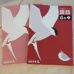 四谷大塚 予習シリーズ 国語 6年 上 - メルカリ