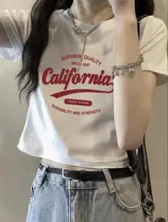 クロップド丈 ロゴ Tシャツ ホワイト XL レディース 韓国 ストリート 半袖