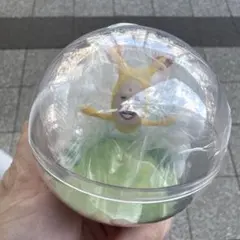 こびとづかん　ホトケアカバネ　カプリウムコレクション