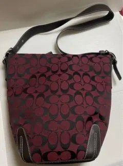 Item thumbnail for item 66e970ba-86b9-4702-94ae-f97b11fc40f1