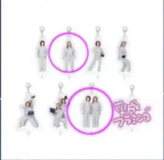 平成フラミンゴ select rain つながるアクリルチャーム 2個セット