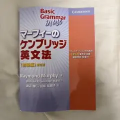 Basic Grammar in Use 新訂版