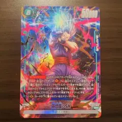 孫悟飯:SH パラレル FB09-060 SR☆ - メルカリ