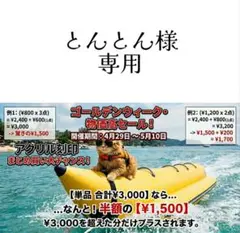 とんとん様専用 詳しい流れは商品説明文をお読みください