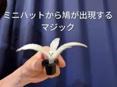 2026年最新】鳩よの人気アイテム - メルカリ