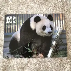 2025年最新】王子動物園 タンタン クリアファイルの人気アイテム