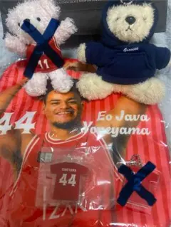 富山グラウジーズ2024-25バスケファングッズ ベア＆キーホルダー、ミニタオル