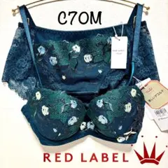 ＊C70M レッドレーベル バイ トリンプ0104 ブラ＆ショーツ Green