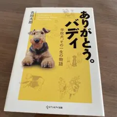 Item thumbnail for item b26fee73-50bd-4a75-9c3b-512f42846a98